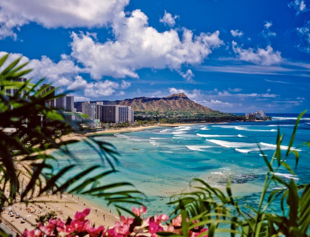 Great Diamond Head Views, 2Br Condo With Free Parking! Honolulu Kültér fotó